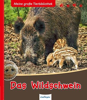 Meine große Tierbibliothek: Das Wildschwein