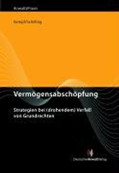 Vermögensabschöpfung. Strategien bei (drohendem) Verfall von Grundrechten