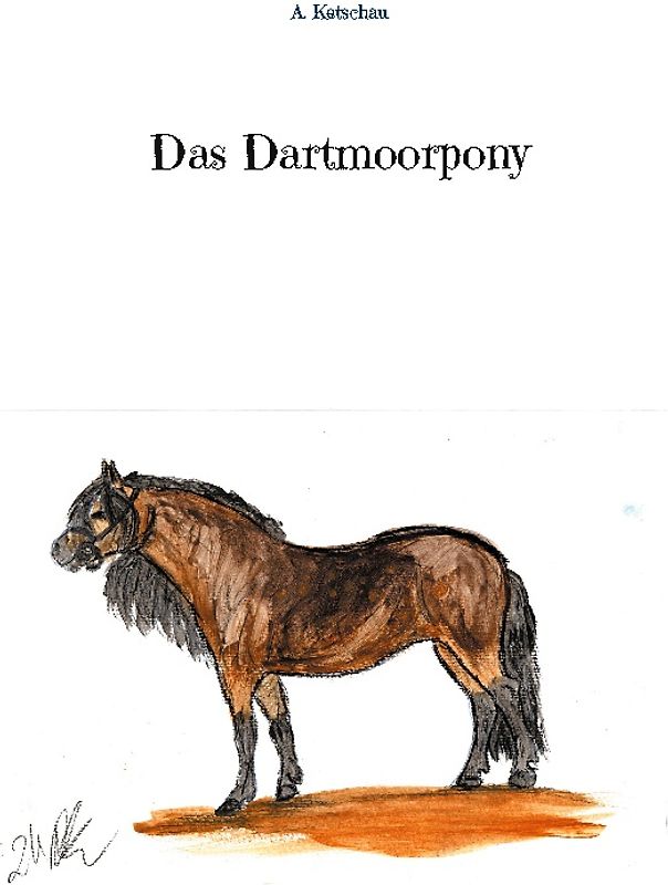 Das Dartmoorpony