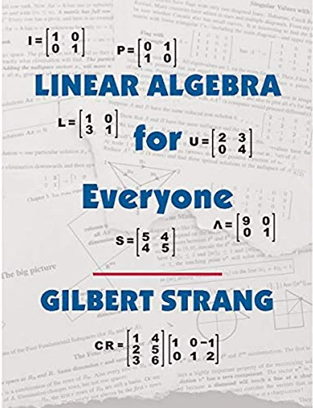 Linear Algebra for Everyone