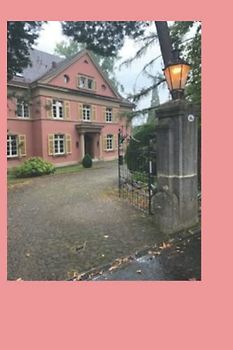 Froschprinz zum Küssen gesucht: Schloss vorhanden