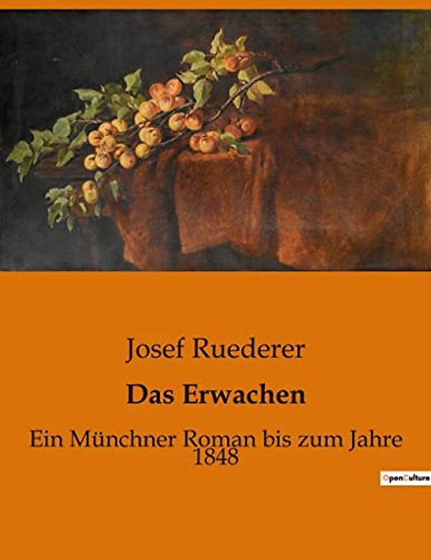 Das Erwachen: Ein Münchner Roman bis zum Jahre 1848