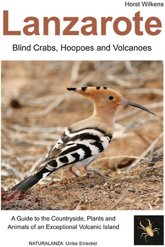 Lanzarote - Blind Crabs, Hoopoes and Volcanoes