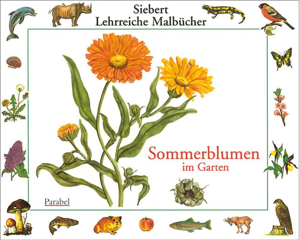 Sommerblumen im Garten. Malbuch