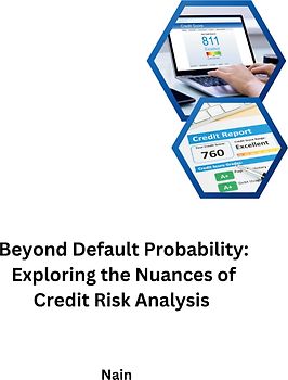 Beyond Default Probability: Exploring the Nuances of Credit Risk Analysis
