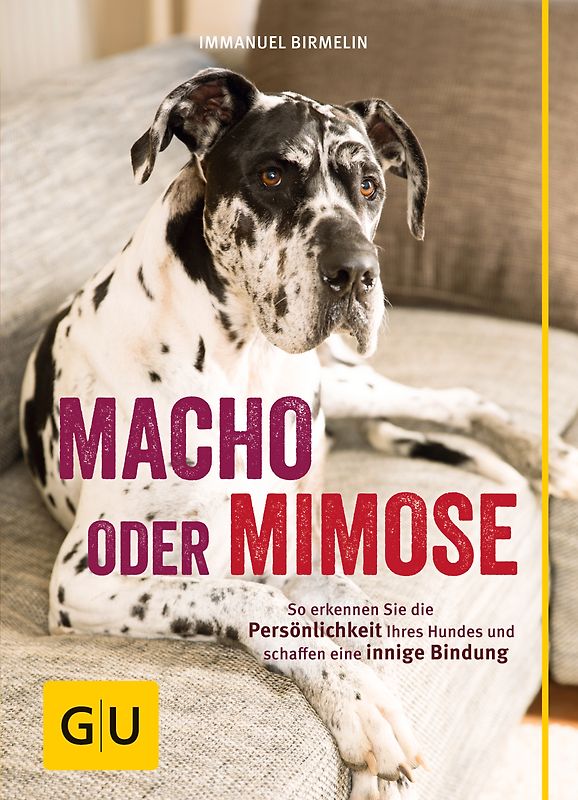 Macho oder Mimose. So erkennen Sie die Persönlichkeit Ihres Hundes und schaffen eine innige Bindung