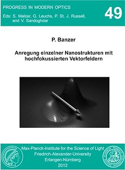 Anregung einzelner Nanostrukturen mit hochfokussierten Vektorfeldern