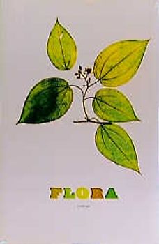 Flora
