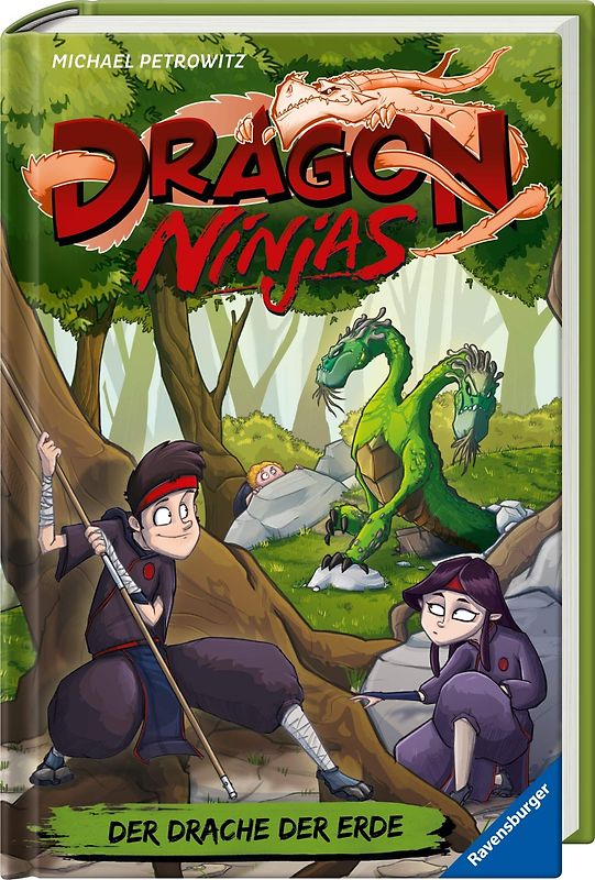 Dragon Ninjas, Band 4 - Der Drache der Erde