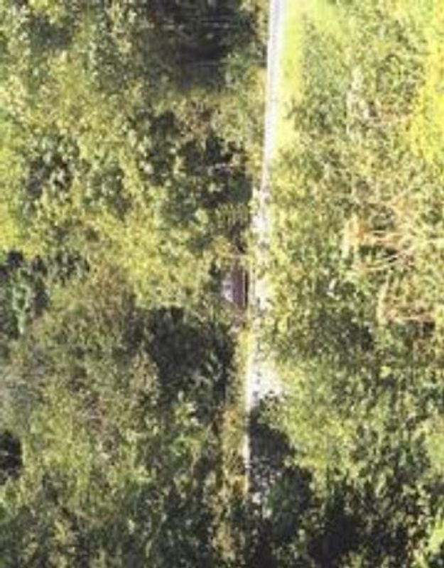 In Almost Every Picture 2