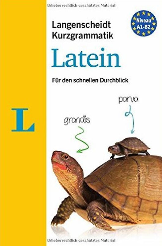 Langenscheidt Kurzgrammatik Latein - Buch mit Download