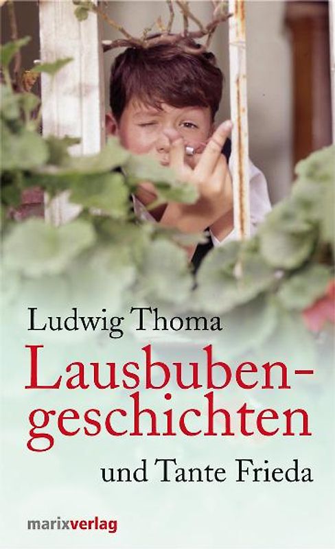 Lausbubengeschichten