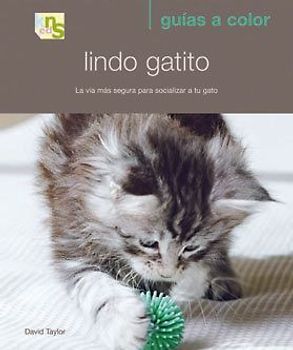 Lindo gatito : la vía más segura para socializar a tu gato