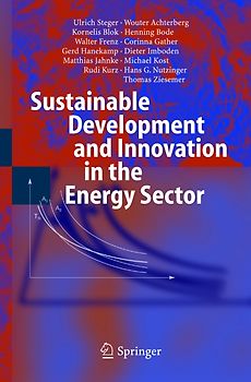 Sustainable Development and Innovation in the Energy Sector