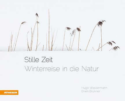 Stille Zeit