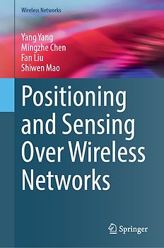 Positioning and Sensing Over Wireless Networks