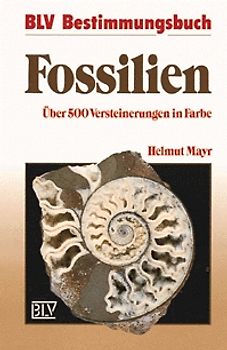 Fossilien