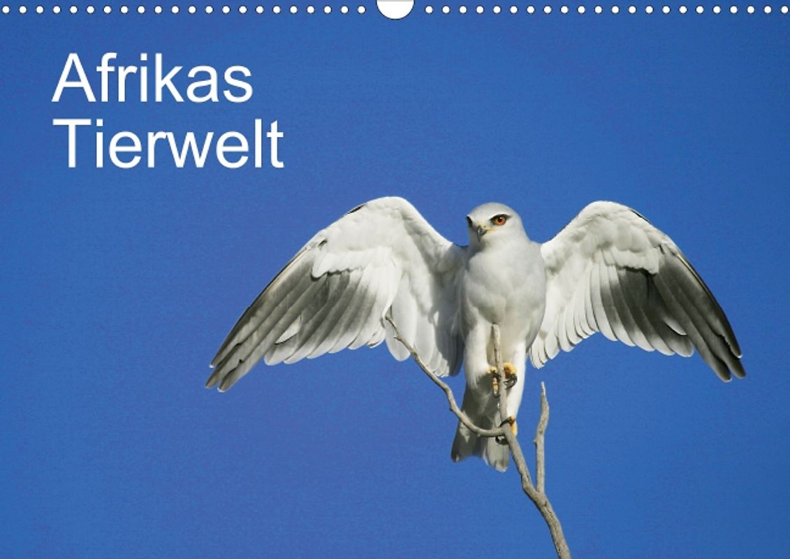 Afrikas Tierwelt (Posterbuch DIN A3 quer)