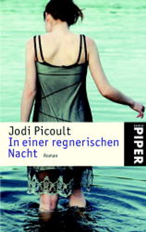 In einer regnerischen Nacht. Roman