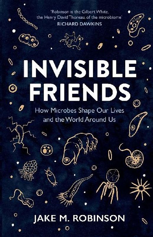 Invisible Friends