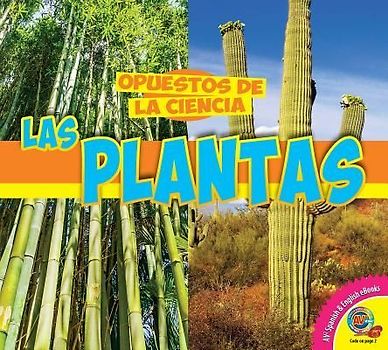 Las Plantas (Plants)