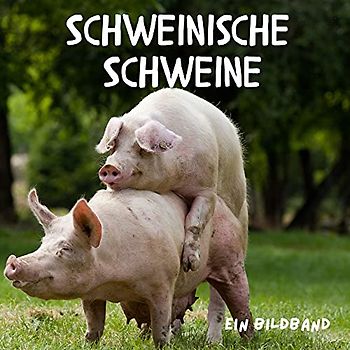 Schweinische Schweine