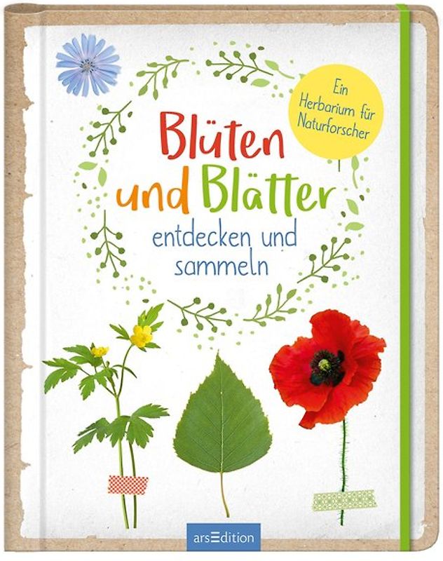 Blüten und Blätter entdecken und sammeln