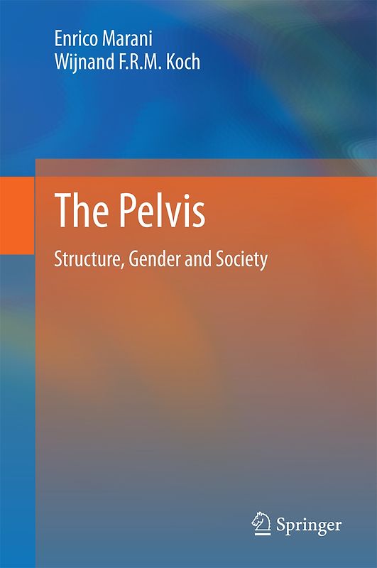 The Pelvis