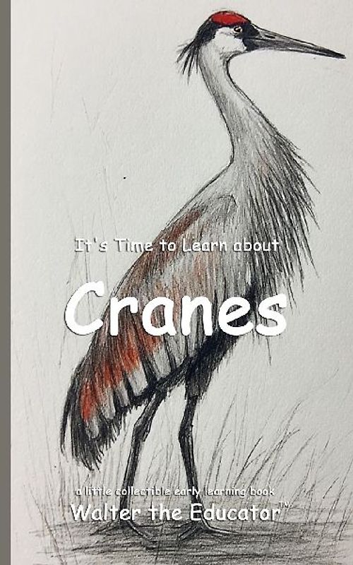 It's Time to Learn about Cranes