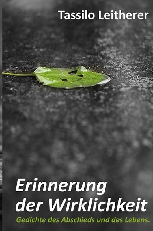 Erinnerung der Wirklichkeit