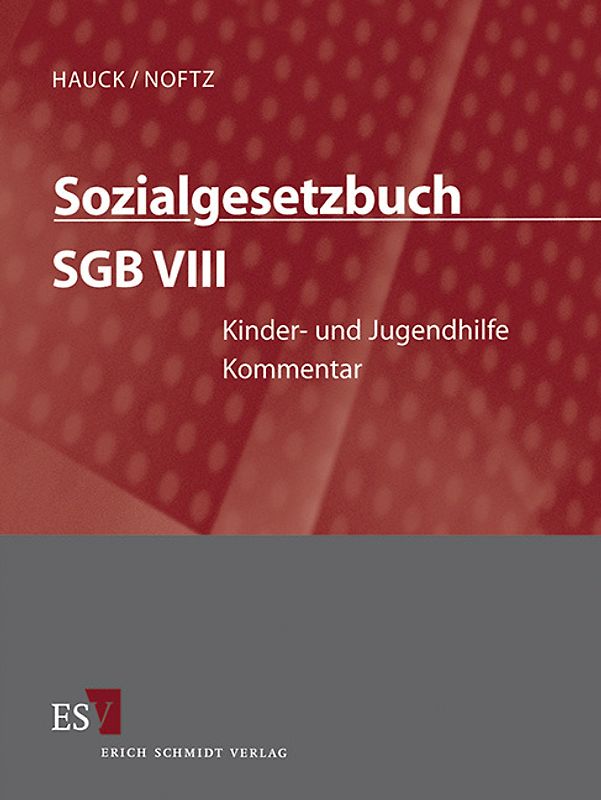 Sozialgesetzbuch (SGB) – Gesamtkommentar / Sozialgesetzbuch (SGB) VIII: Kinder- und Jugendhilfe - Einzelbezug