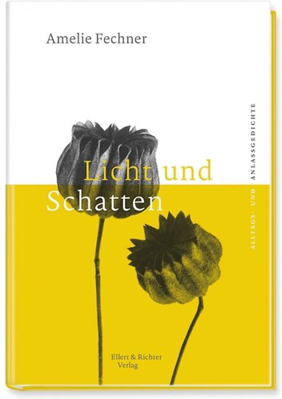 Licht und Schatten