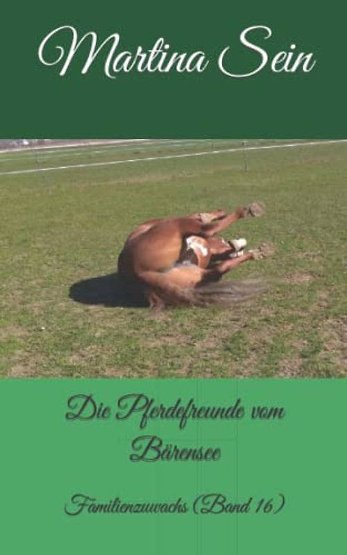 Die Pferdefreunde vom Bärensee: Familienzuwachs