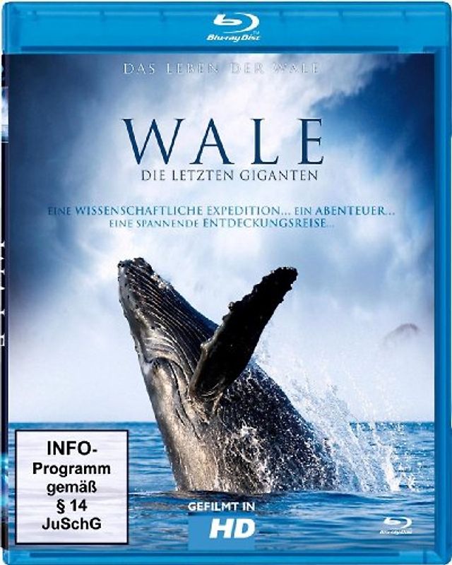 Wale - Die letzten Giganten Blu-ray Disc