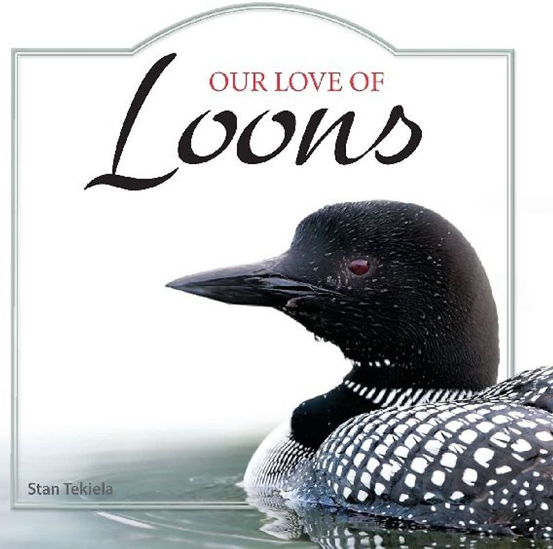 Our Love of Loons