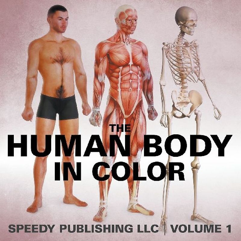 The Human Body In Color Volume 1
