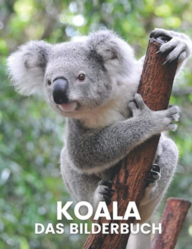 Koala: Das Bilderbuch des schönen Koalas für Kinder Alzheimer, Senioren, Patienten mit Demenz.