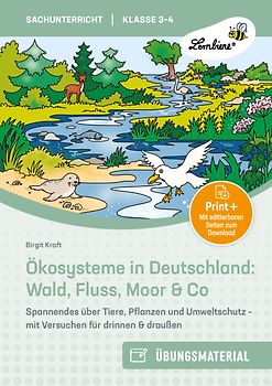 Ökosysteme in Deutschland: Wald, Fluss, Moor & Co