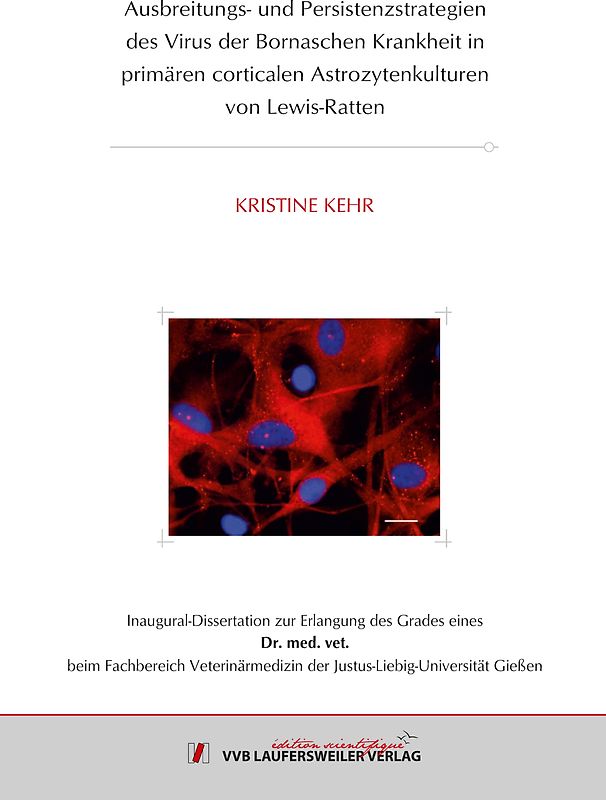 Ausbreitungs- und Persistenzstrategien des Virus der Bornaschen Krankheit in primären corticalen Astrozytenkulturen von Lewis-Ratten