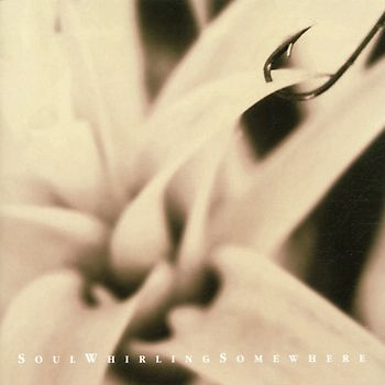 Soul Whirling Somewhere - Please Send Help