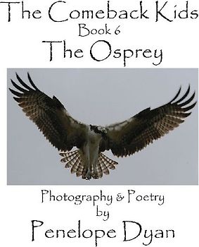 The Comeback Kids, Book 6, The Osprey