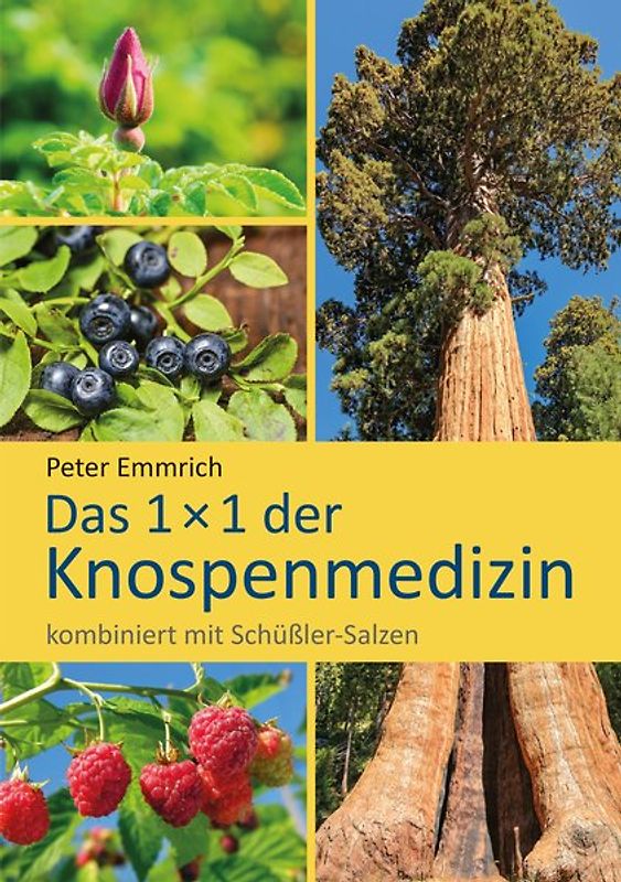 Das 1×1 der Knospenmedizin