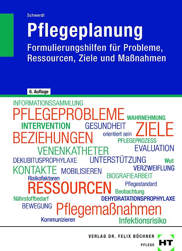eBook inside: Buch und eBook Pflegeplanung