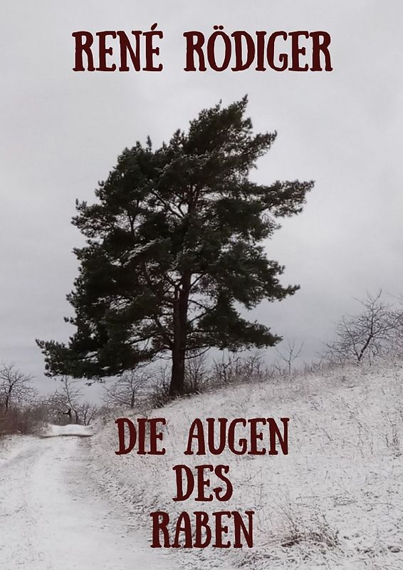 Die Augen des Raben