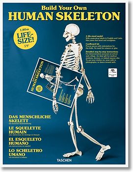 Build Your Own Human Skeleton