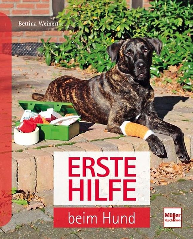 Erste Hilfe am Hund