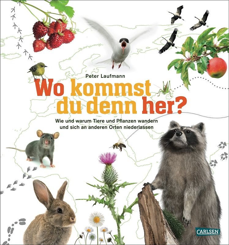Wo kommst du denn her?