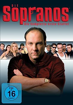 Die Sopranos - Staffel 1 [4 DVDs] DVD