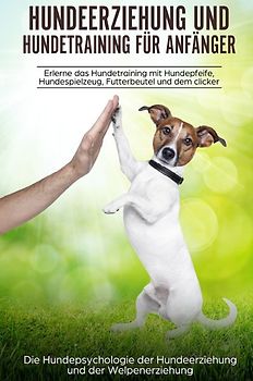Hundeerziehung und Hundetraining für Anfänger