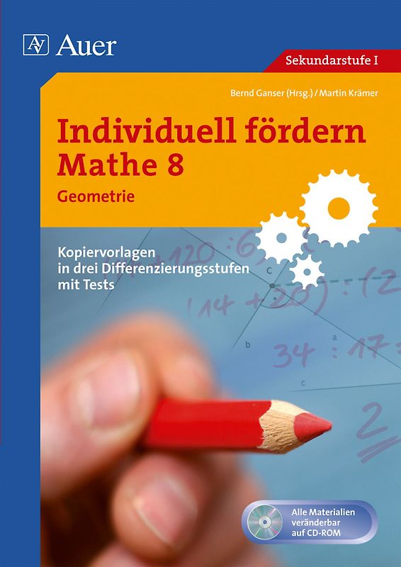 Individuell fördern Mathe 8 Geometrie